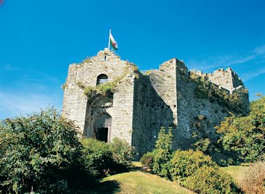 Oystermouth Castle
